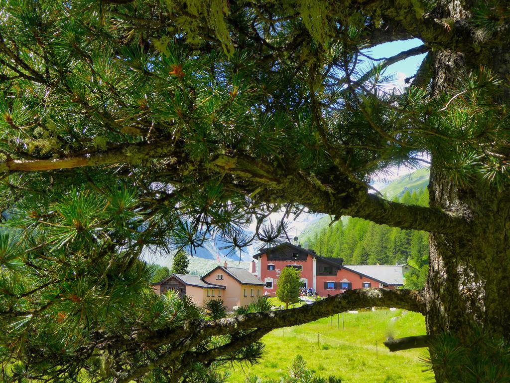 Hotel Roseg-Gletscher 폰트레시나 외부 사진
