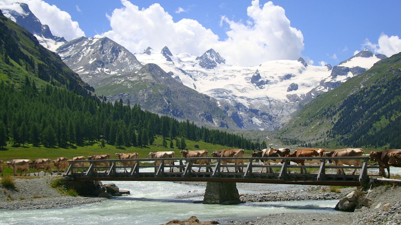 Hotel Roseg-Gletscher 폰트레시나 외부 사진